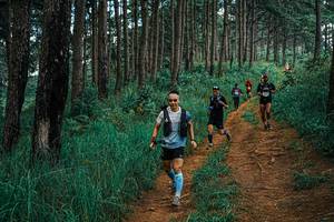 BIB: 
                            <button type="button" onclick="openModal(25668718)" class="btn btn-primary btn-sm float-right btn-popup" data-toggle="modal" data-target=".modal-high-quality">
                        <i class="fas fa-shopping-cart"></i> Add to Cart
                    </button>
                                            <button type="button" onclick="isThisMe(25668718, true)" class="btn btn-success btn-sm float-right btn-popup btn-isme hidden" data-toggle="tooltip" data-placement="bottom" title="นี่คือรูปของคุณใช่ไหม คลิกที่นี่เพื่อเอาเข้าอัลบั้ม">
                        <i class="fas fa-plus"></i> Add to album
                    </button>
                    <button type="button" onclick="isThisMe(25668718, false)" class="btn btn-warning btn-sm float-right btn-popup btn-isnotme hidden">
                        <i class="fas fa-ban"></i> Remove from album
                    </button>